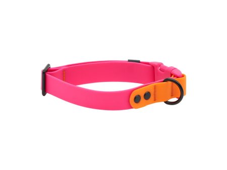 RC Pets Waterproof Dog Clip Collar - Azalea Orange For Cheap