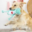 Fringe Prince Charming Dog Toy Hot on Sale