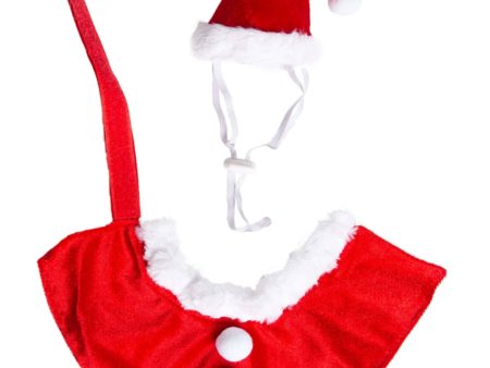 Pet Krewe Santa Hat and Collar Pet Costume Fashion