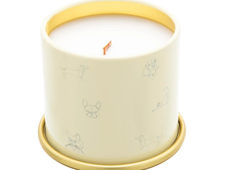 Companion Candles 3oz Mini Candle - Anywhere With You (Grapefruit Vanilla) For Discount