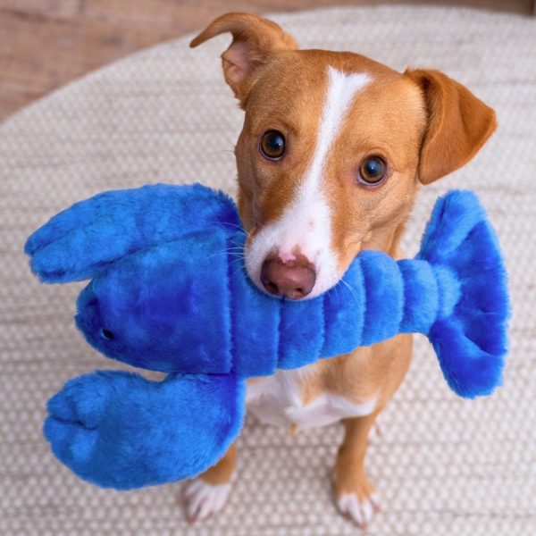 Fluff & Tuff Lucky Lobster Dog Toy - Blue For Cheap